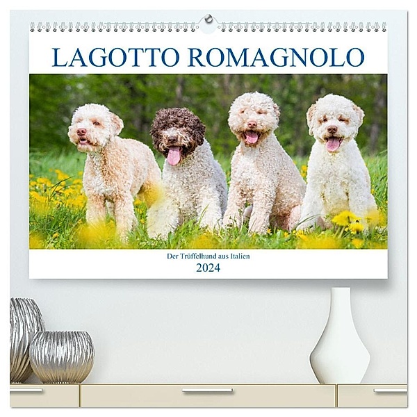 Lagotto Romagnolo - Der Trüffelhund aus Italien (hochwertiger Premium Wandkalender 2024 DIN A2 quer), Kunstdruck in Hochglanz, Sigrid Starick