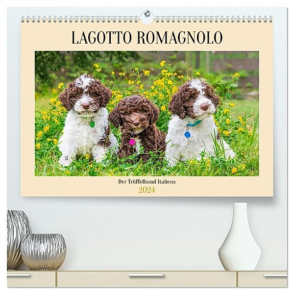 Lagotto Romagnolo - der Trüffelhund Italiens (hochwertiger Premium Wandkalender 2024 DIN A2 quer), Kunstdruck in Hochglanz, Sigrid Starick