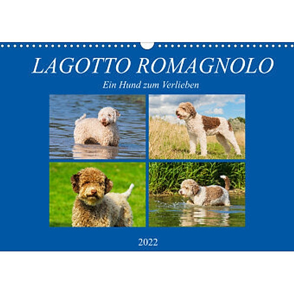 Lagotto Romagnolo - Ein Hund zum Verlieben (Wandkalender 2022 DIN A3 quer), N N