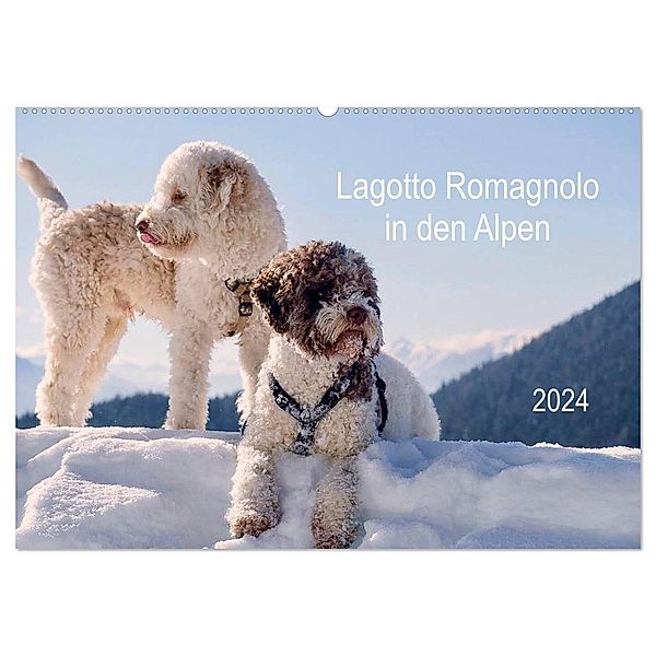 Lagotto Romagnolo in den Alpen 2024 (Wandkalender 2024 DIN A2 quer), CALVENDO Monatskalender, wuffclick-pic