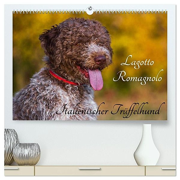 Lagotto Romagnolo - Italienischer Trüffelhund (hochwertiger Premium Wandkalender 2024 DIN A2 quer), Kunstdruck in Hochglanz, Sigrid Starick