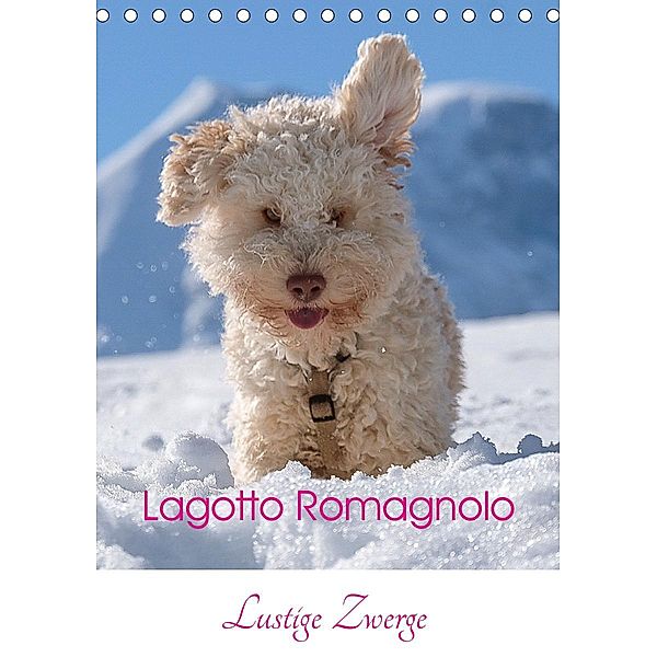 Lagotto Romagnolo - Lustige Zwerge (Tischkalender 2021 DIN A5 hoch), wuffclick-pic