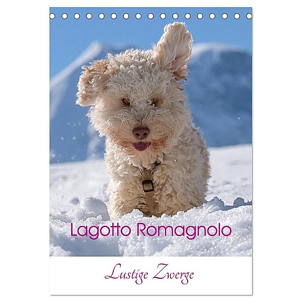 Lagotto Romagnolo - Lustige Zwerge (Tischkalender 2024 DIN A5 hoch), CALVENDO Monatskalender, wuffclick-pic