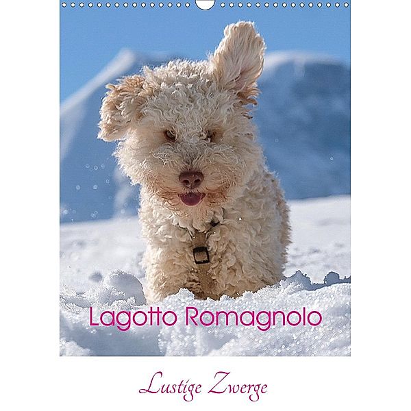 Lagotto Romagnolo - Lustige Zwerge (Wandkalender 2021 DIN A3 hoch), wuffclick-pic