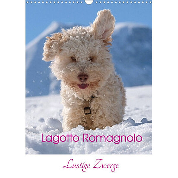 Lagotto Romagnolo - Lustige Zwerge (Wandkalender 2022 DIN A3 hoch), wuffclick-pic