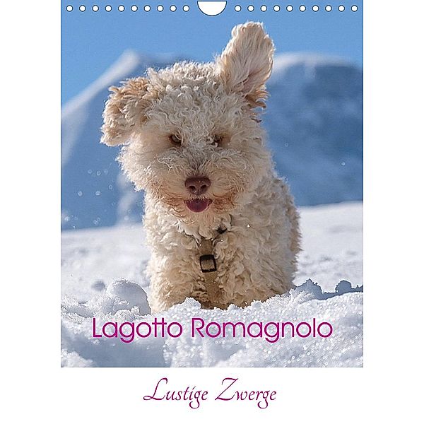 Lagotto Romagnolo - Lustige Zwerge (Wandkalender 2023 DIN A4 hoch), wuffclick-pic