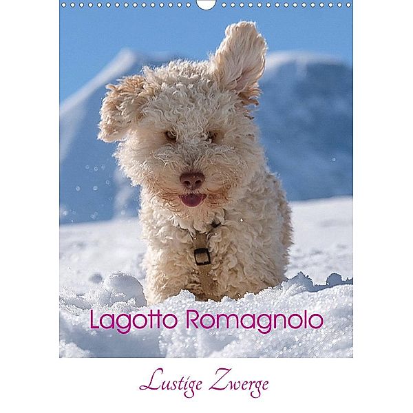 Lagotto Romagnolo - Lustige Zwerge (Wandkalender 2023 DIN A3 hoch), wuffclick-pic