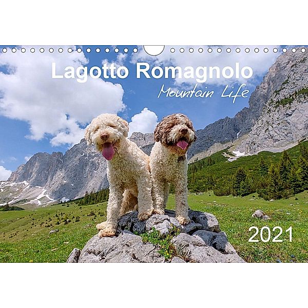 Lagotto Romagnolo Mountain Life (Wall Calendar 2021 DIN A4 Landscape)