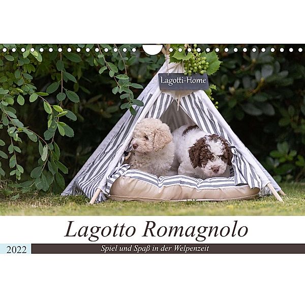 Lagotto Romagnolo - Spiel und Spaß in der Welpenzeit (Wandkalender 2022 DIN A4 quer), Sonja Teßen