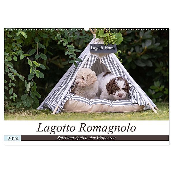 Lagotto Romagnolo - Spiel und Spaß in der Welpenzeit (Wandkalender 2024 DIN A2 quer), CALVENDO Monatskalender, Sonja Teßen