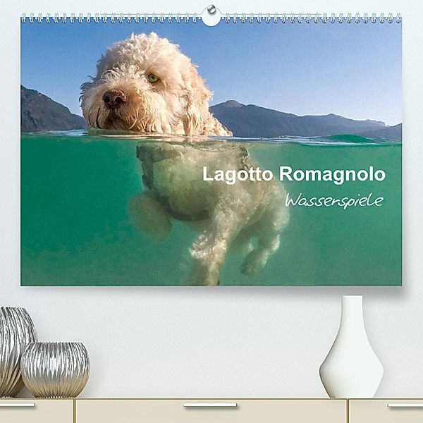 Lagotto Romagnolo - Wasserspiele (Premium, hochwertiger DIN A2 Wandkalender 2023, Kunstdruck in Hochglanz), wuffclick-pic