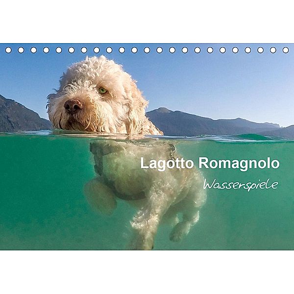 Lagotto Romagnolo - Wasserspiele (Tischkalender 2021 DIN A5 quer), wuffclick-pic