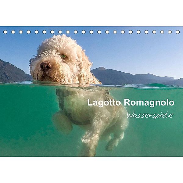 Lagotto Romagnolo - Wasserspiele (Tischkalender 2023 DIN A5 quer), wuffclick-pic