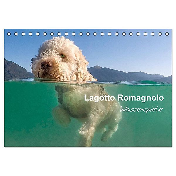 Lagotto Romagnolo - Wasserspiele (Tischkalender 2024 DIN A5 quer), CALVENDO Monatskalender, wuffclick-pic