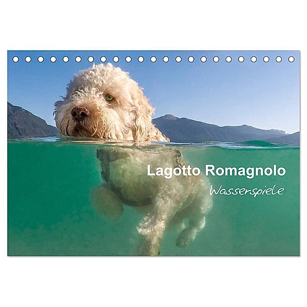 Lagotto Romagnolo - Wasserspiele (Tischkalender 2025 DIN A5 quer), CALVENDO Monatskalender, Calvendo, wuffclick-pic
