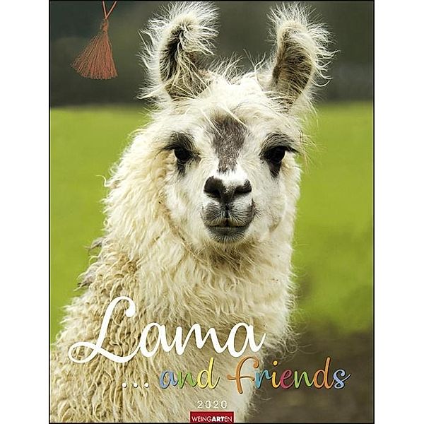 Lama and friends 2020