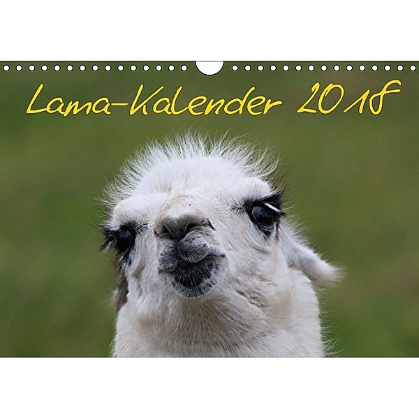 Lama-Kalender 2018 (Wandkalender 2018 DIN A4 quer), Bernd Witkowski