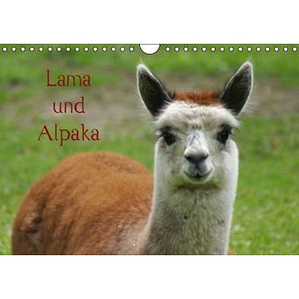 Lama und Alpaka (Wandkalender 2014 DIN A4 quer), kattobello