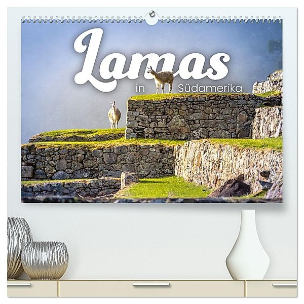 Lamas in Südamerika (hochwertiger Premium Wandkalender 2025 DIN A2 quer), Kunstdruck in Hochglanz, Calvendo, Happy Monkey