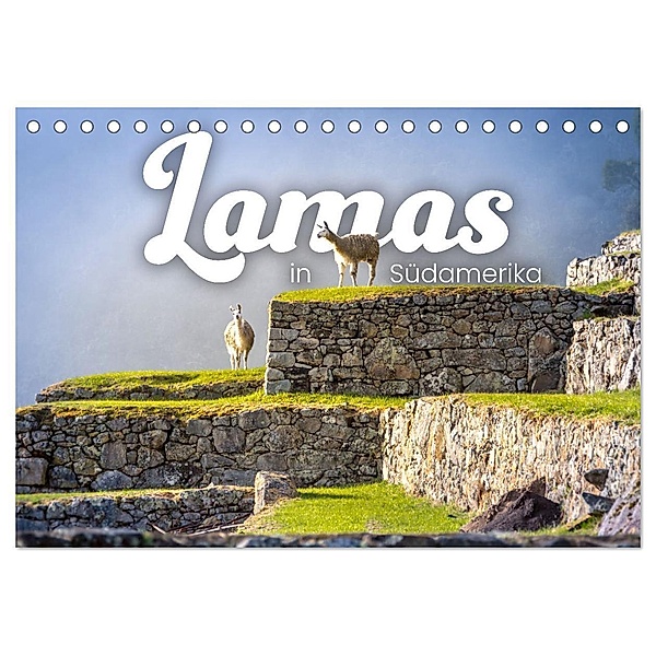 Lamas in Südamerika (Tischkalender 2024 DIN A5 quer), CALVENDO Monatskalender, Happy Monkey