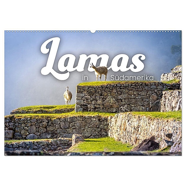 Lamas in Südamerika (Wandkalender 2024 DIN A2 quer), CALVENDO Monatskalender, Happy Monkey