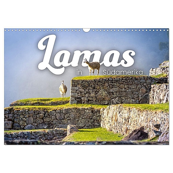 Lamas in Südamerika (Wandkalender 2024 DIN A3 quer), CALVENDO Monatskalender, Happy Monkey