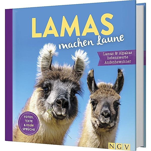 Lamas machen Laune