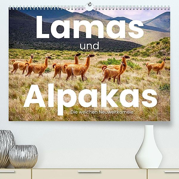 Lamas und Alpakas  - Die weichen Neuweltkamele. (Premium, hochwertiger DIN A2 Wandkalender 2023, Kunstdruck in Hochglanz, SF