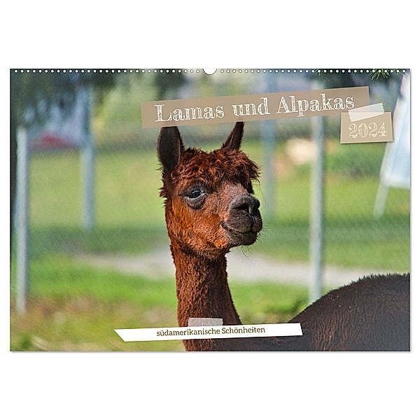 Lamas und Alpakas - südamerikanische Schönheiten (Wandkalender 2024 DIN A2 quer), CALVENDO Monatskalender, Jessica Meisenzahl