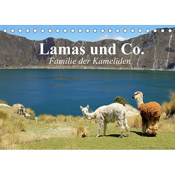Lamas und Co. Familie der Kameliden (Tischkalender 2022 DIN A5 quer), Elisabeth Stanzer