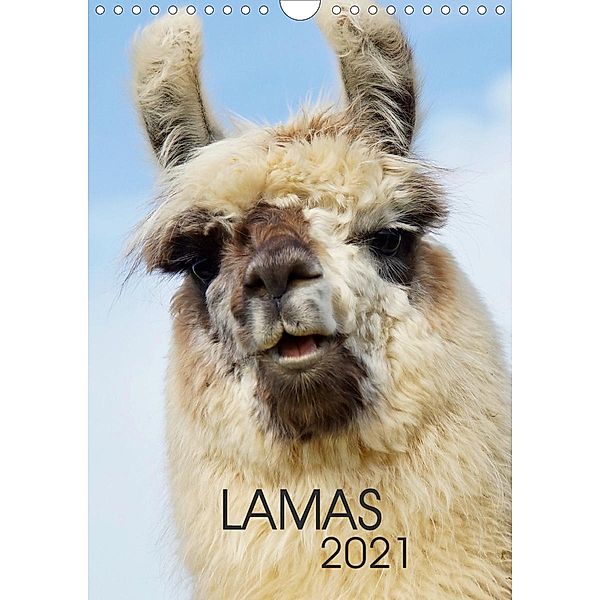 LAMAS (Wandkalender 2021 DIN A4 hoch), Jutta Albert