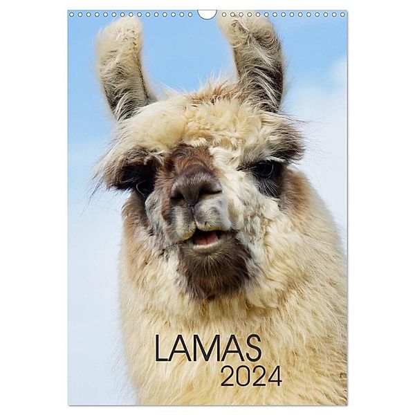 LAMAS (Wandkalender 2024 DIN A3 hoch), CALVENDO Monatskalender, Jutta Albert