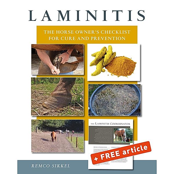 Laminitis, Remco Sikkel