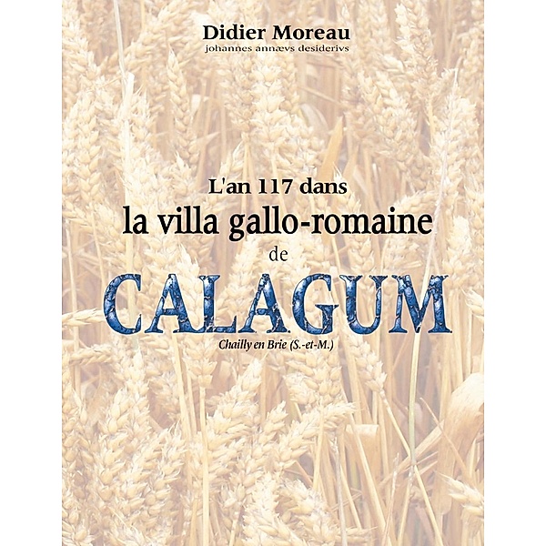 L'an 117 dans la villa gallo-romaine de Calagum, Didier Moreau