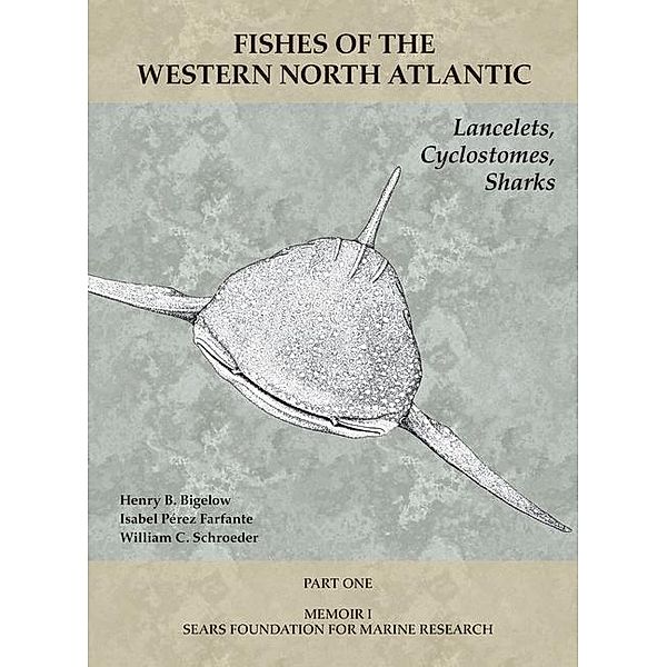 Lancelets, Cyclostomes, Sharks, Henry B. Bigelow, Isabel Perez Farfante, William C. Schroeder