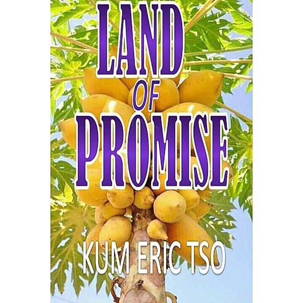 Land of Promise, Kum Eric Tso