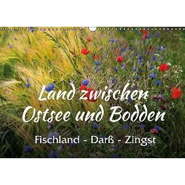 Land zwischen Ostsee und Bodden, Fischland - Darß - Zingst (Wandkalender 2016 DIN A3 quer), Maria Reichenauer