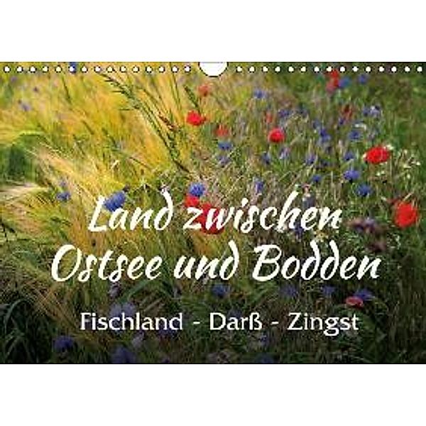Land zwischen Ostsee und Bodden, Fischland - Darß - Zingst (Wandkalender 2016 DIN A4 quer), Maria Reichenauer