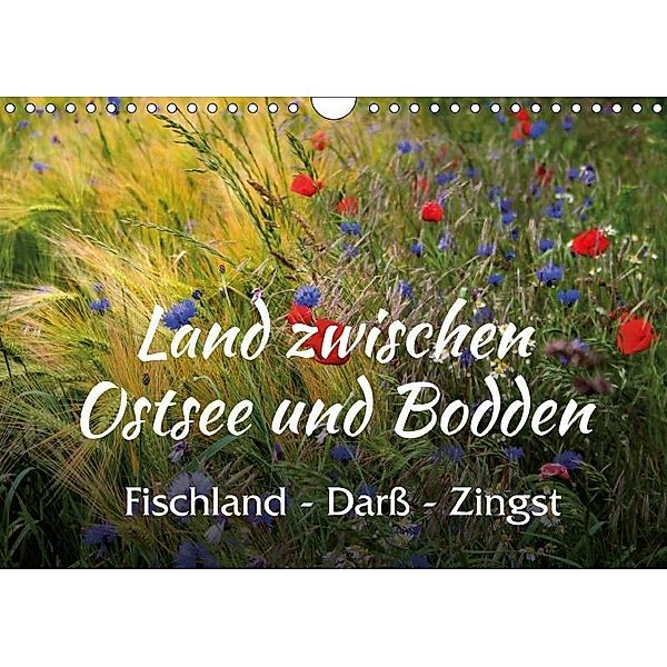 Land zwischen Ostsee und Bodden, Fischland - Darß - Zingst (Wandkalender 2017 DIN A4 quer), Maria Reichenauer