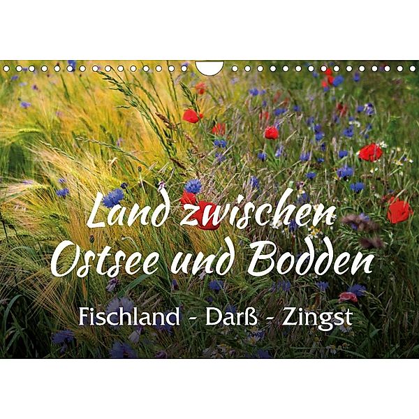Land zwischen Ostsee und Bodden, Fischland - Darß - Zingst (Wandkalender 2023 DIN A4 quer), Maria Reichenauer