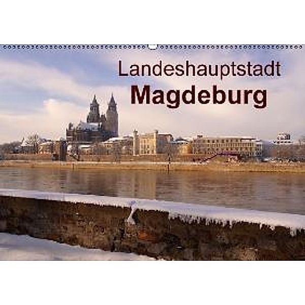 Landeshauptstadt Magdeburg (Wandkalender 2015 DIN A2 quer), Beate Bussenius
