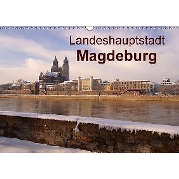 Landeshauptstadt Magdeburg (Wandkalender 2015 DIN A3 quer), Beate Bussenius