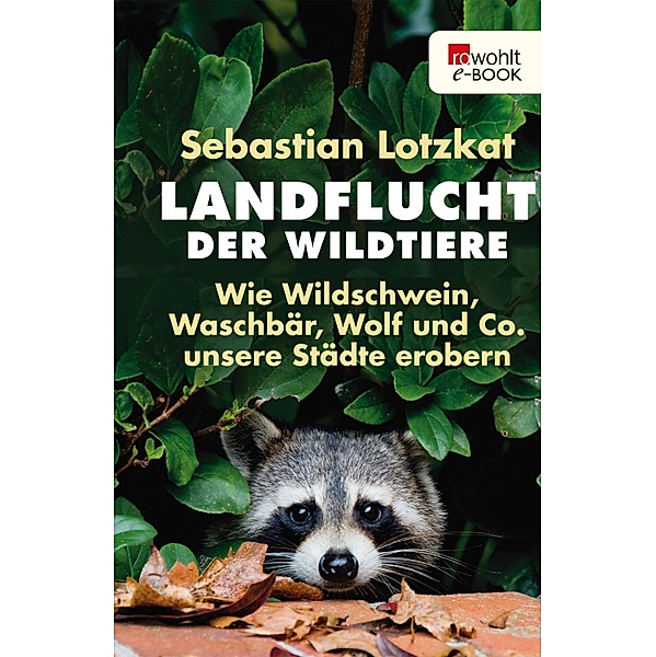 Landflucht der Wildtiere, Sebastian Lotzkat