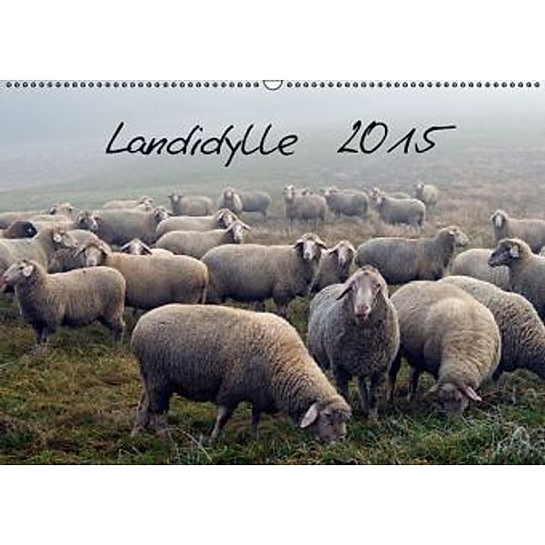 Landidylle 2015 (Wandkalender 2015 DIN A2 quer)