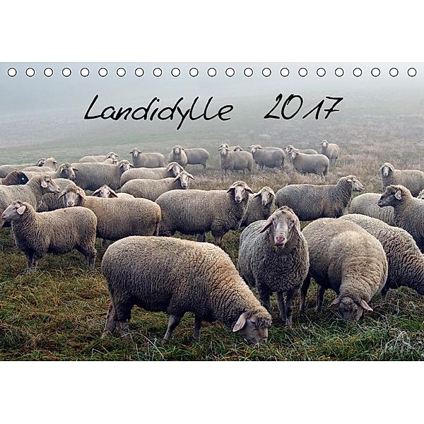 Landidylle 2017 (Tischkalender 2017 DIN A5 quer)