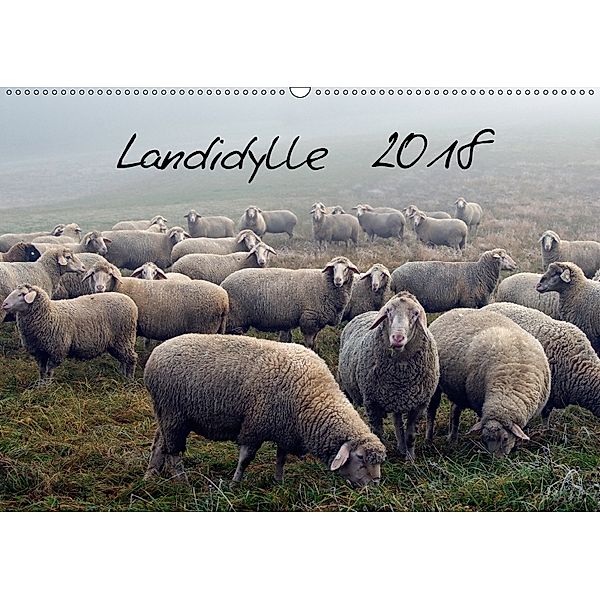 Landidylle 2018 (Wandkalender 2018 DIN A2 quer)