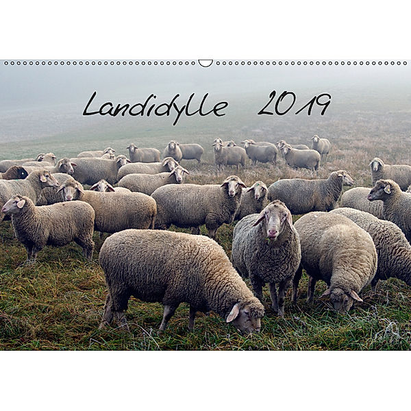 Landidylle 2019 (Wandkalender 2019 DIN A2 quer), E. Ehmke