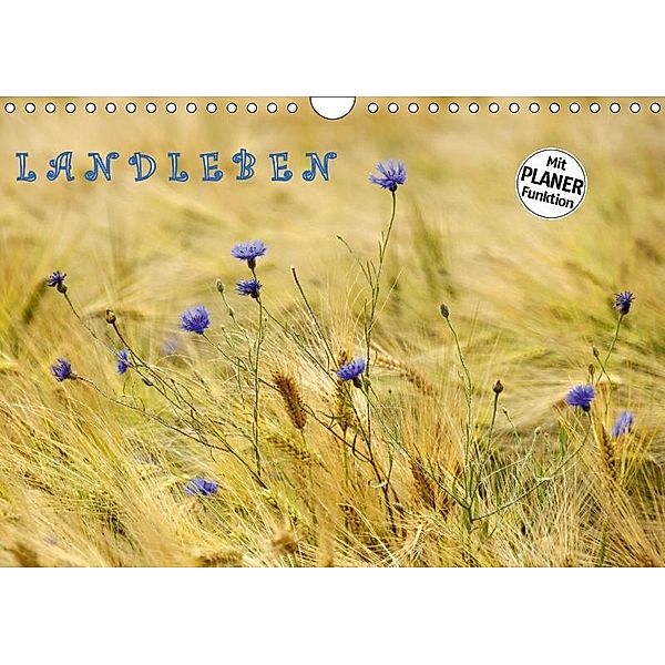 LANDLEBEN (Wandkalender 2017 DIN A4 quer), GUGIGEI