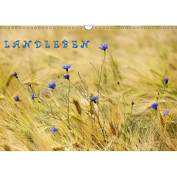 LANDLEBEN (Wandkalender 2019 DIN A3 quer), GUGIGEI