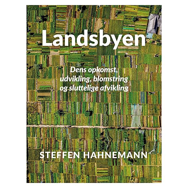 Landsbyen, Steffen Hahnemann